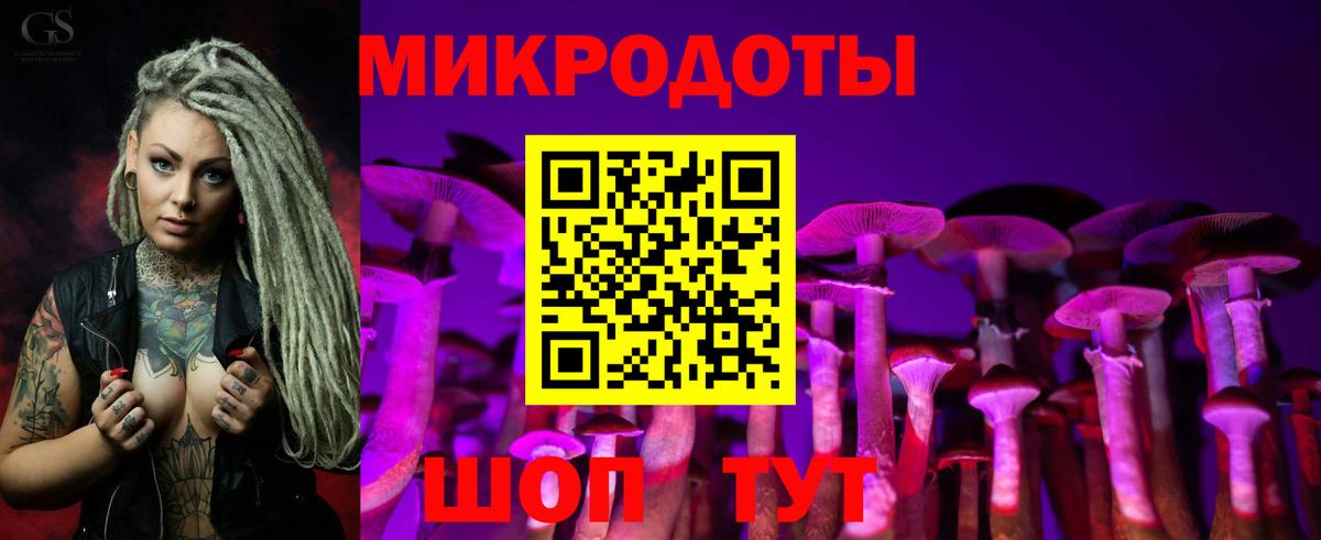 Псилоцибиновые грибы прущие грибы Долгопрудный