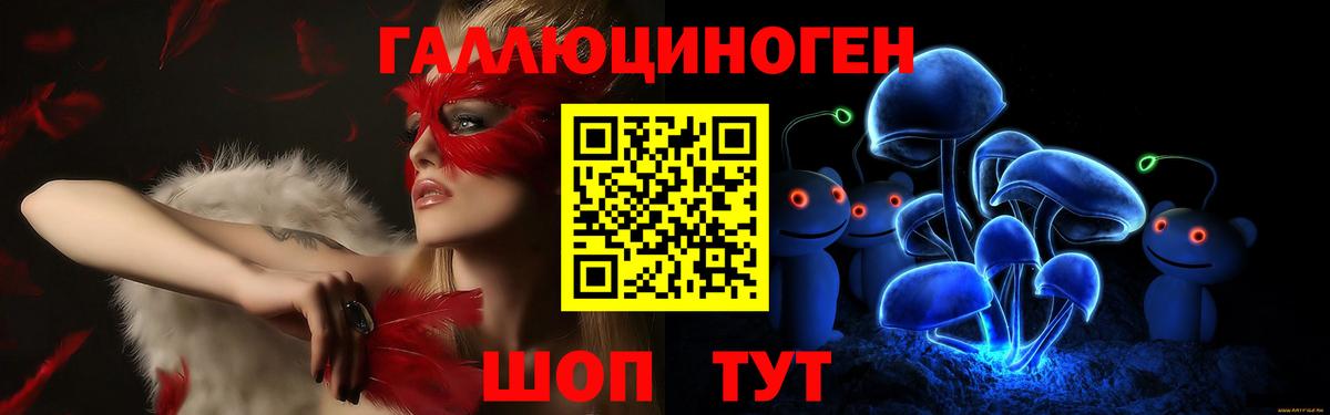 Псилоцибиновые грибы GOLDEN TEACHER  Вход с VPN  Долгопрудный  Псилоцибиновые грибы Magic Shrooms 